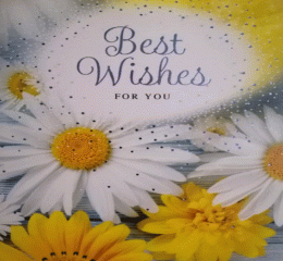 Best Wished Card